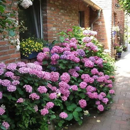 Landhaus-nordseekueste Διαμέρισμα